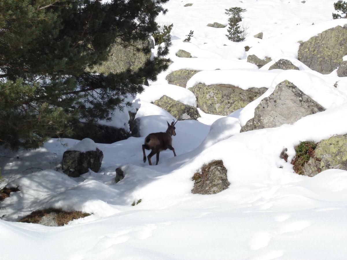 Vacances Perennes Cauterets Luaran gambar
